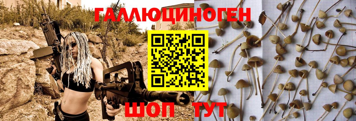 Кохма  купить наркотик  Вход с VPN  Галлюциногенные грибы мицелий 