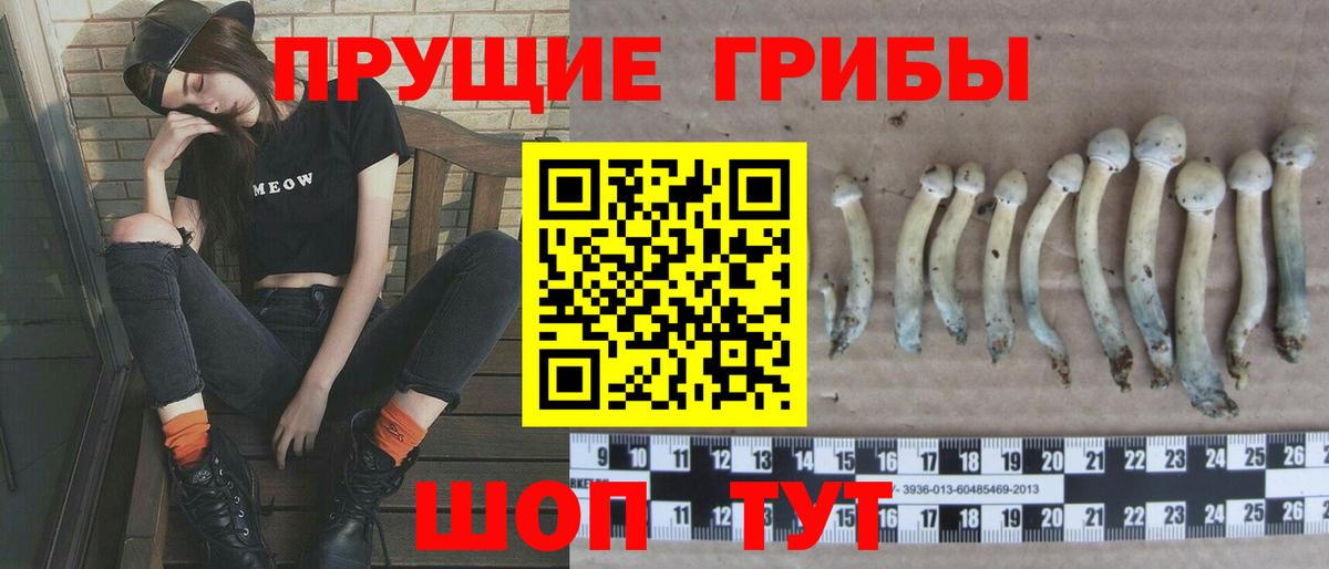 Галлюциногенные грибы Psilocybe Кохма